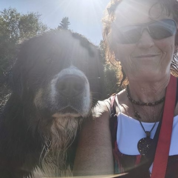 Meet your Posher, Sharon - Picture 1 of 1